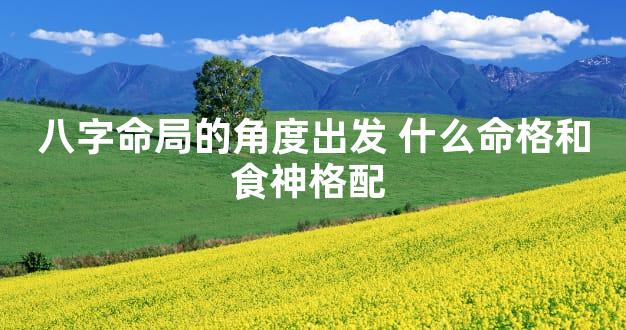 八字命局的角度出发 什么命格和食神格配 